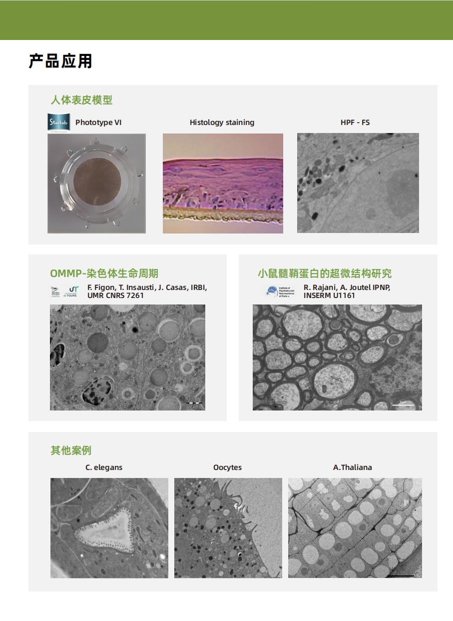 HPM α卓越稳定的高压冷冻仪(图2)